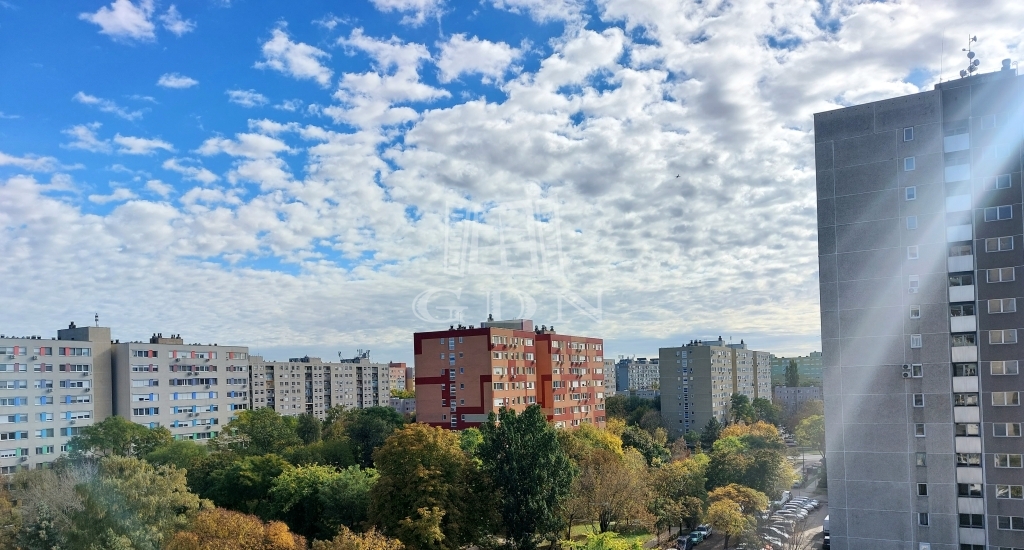 Verkauf Budapest XIV. kerület Wohnung (Panel)