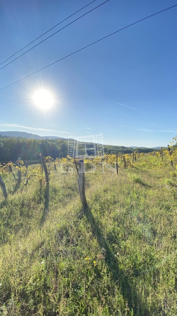 Vânzare Solymár Zona agricola